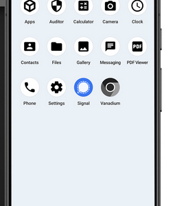 Secure Mobile Phone Device